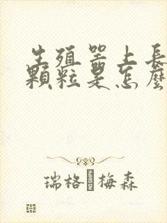 生殖器上长小肉颗粒是怎么回事