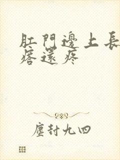 肛门边上长个疙瘩还疼封面