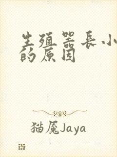 生殖器长小肉粒的原因封面