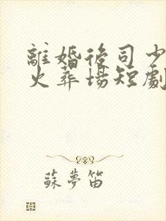 离婚后司少追妻火葬场短剧免费观看