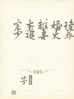 完本离婚后,傅少追妻火葬场封面