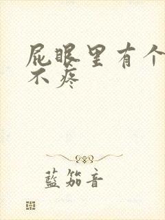 屁眼里有个肉球不疼