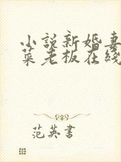 小说新婚妻子与菜老板在线阅读小说