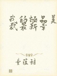 我的极品美女总裁最新章