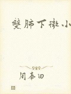 双肺下微小结节