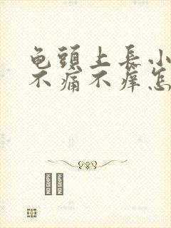 龟头上长小红点不痛不痒怎么回事