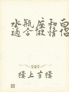 水瓶座和白羊座适合做情侣吗