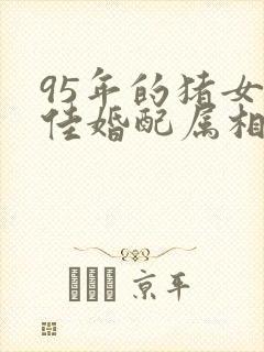 95年的猪女最佳婚配属相