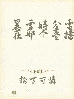 暴雪时分电视剧在哪个台播放