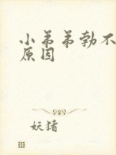 小弟弟勃不起的原因