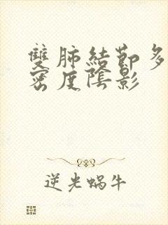 双肺结节多发高密度阴影