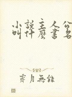 小说主人公杨洛叫什么书名封面