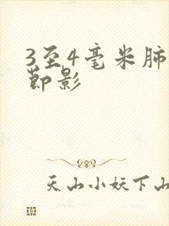 3至4毫米肺结节影