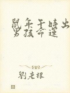 鼠年午时出生的男孩命运封面