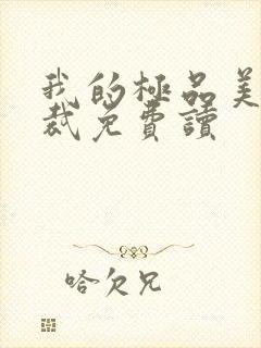 我的极品美女总裁免费读