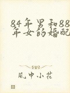 84年男和88年女的婚配好吗