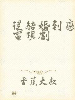 从结婚到恋爱的电视剧封面