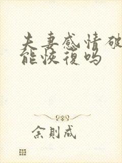 夫妻感情破裂还能恢复吗封面