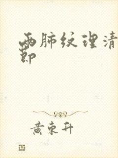 两肺纹理清晰结节