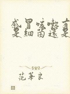 感冒咳嗽有黄痰是细菌还是病毒