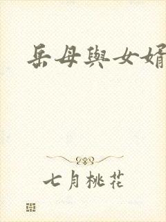 岳母与女婿陈超封面