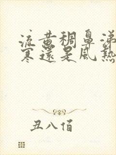 流黄稠鼻涕是风寒还是风热封面