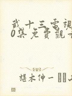 武十三电视剧40集免费观看封面