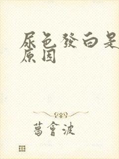 尿色发白是什么原因封面