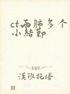 ct两肺多个微小结节