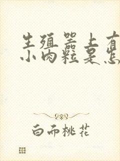 生殖器上有几个小肉粒是怎么回事封面