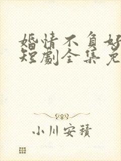 婚情不负好春光短剧全集免费观看