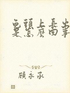 龟头上长出红点是怎么回事封面