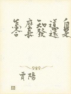 怎么知道自己适合长发还是短发