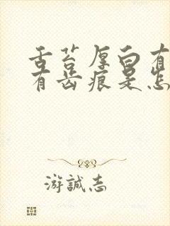 舌苔厚白有裂纹有齿痕是怎么回事