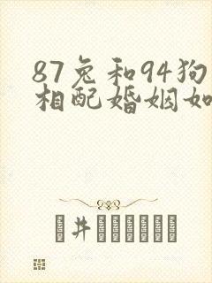 87兔和94狗相配婚姻如何