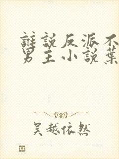 谁说反派不能当男主小说叶玄