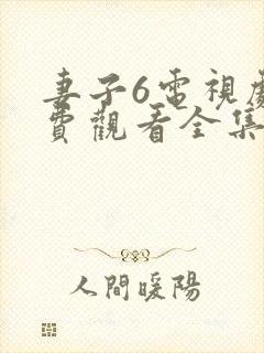 妻子6电视剧免费观看全集电视剧