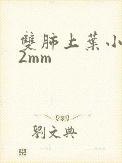 双肺上叶小结节2mm