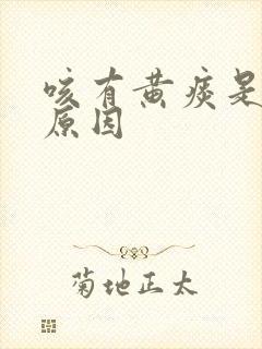 咳有黄痰是什么原因