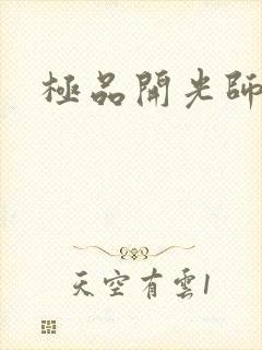 极品开光师