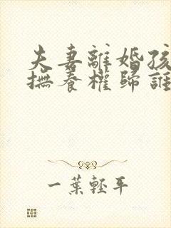 夫妻离婚孩子的抚养权归谁