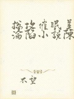 总攻催眠美人的沦陷小说陈楚敬