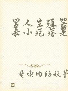 男人生殖器周围长小疙瘩是怎么回事