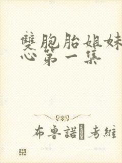 双胞胎姐妹的用心第一集封面