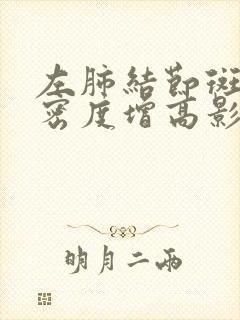 左肺结节斑片样密度增高影