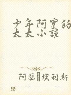 少年阿宾的房东太太小说
