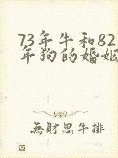 73年牛和82年狗的婚姻怎么样