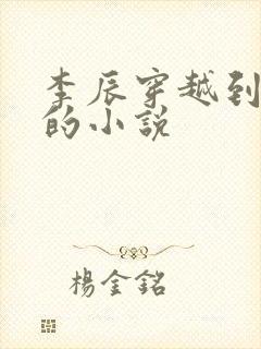 李辰穿越到秦朝的小说封面