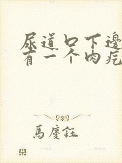 尿道口下边旁边有一个肉疙瘩