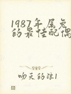 1987年属兔的最佳配偶属相